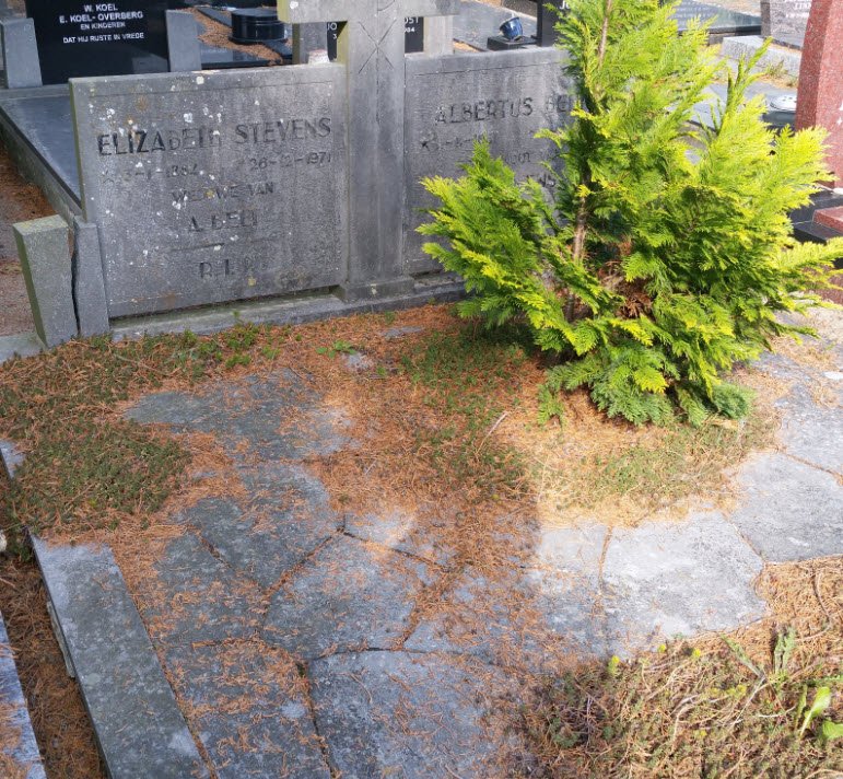 Cemetery register image